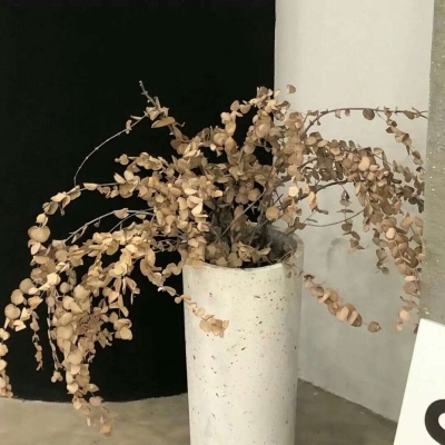 兽设场景氛围营造教程福瑞交流群